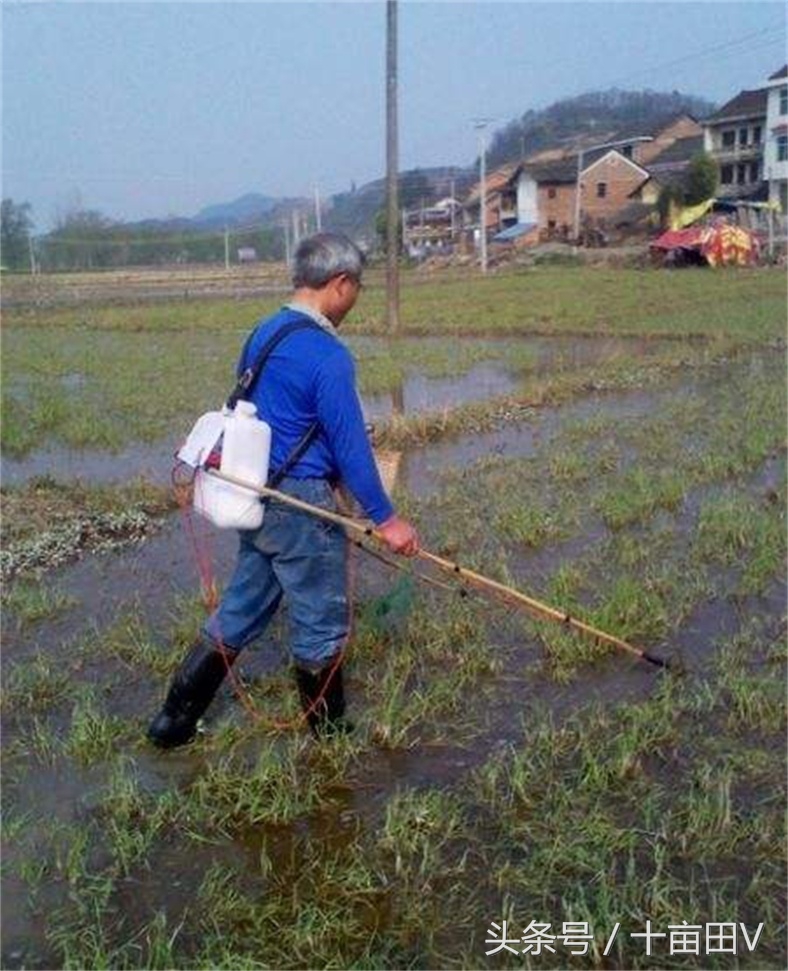 捕黄鳝泥鳅绝密配方,农村户外捕黄鳝泥鳅下地笼