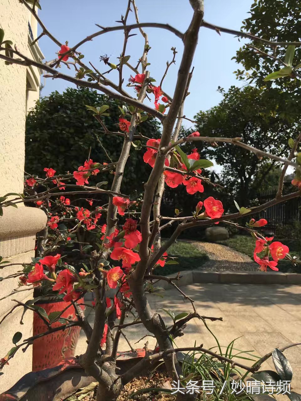 黄曙辉：情人节致瓦伦丁（六首）