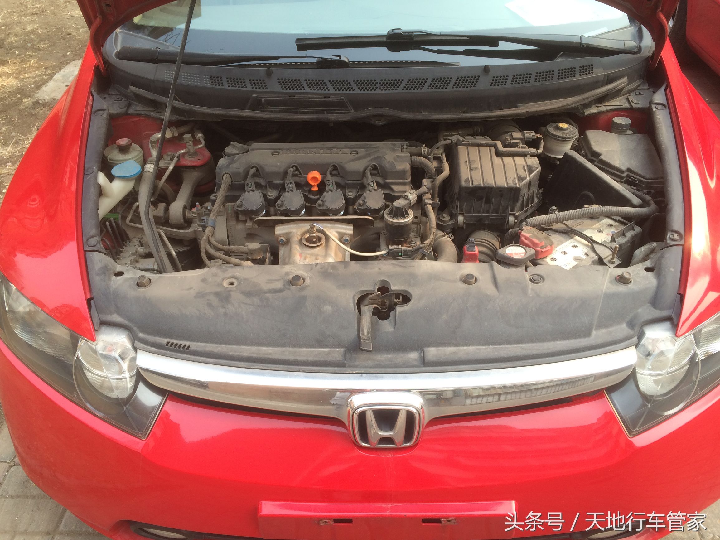 08思域墨绿,08款思域照片红色