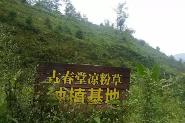 从一家店开到10家店铺,从一家店到上百家加盟店