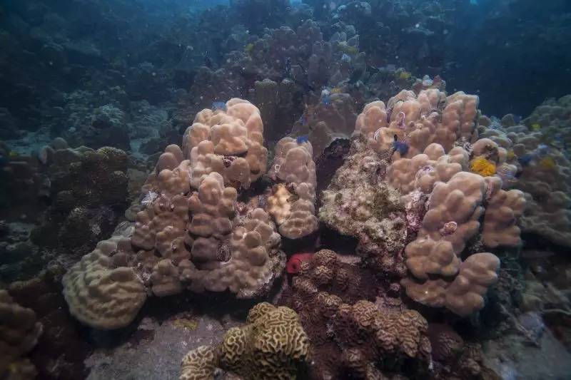 泰国|涛岛:在海上漂了一年,我终于沉下去了