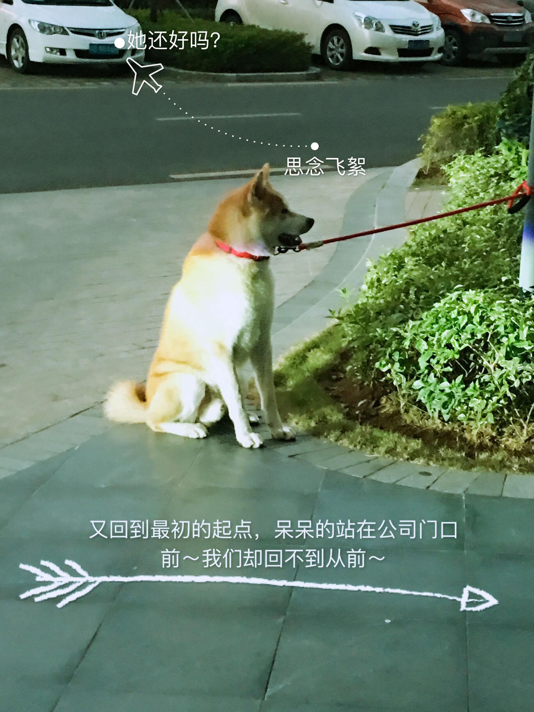 明天就是情人节了图文,明天就是情人节图片