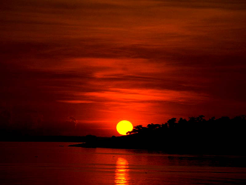 华为nova5全系列发布时间,2019年的华为nova5