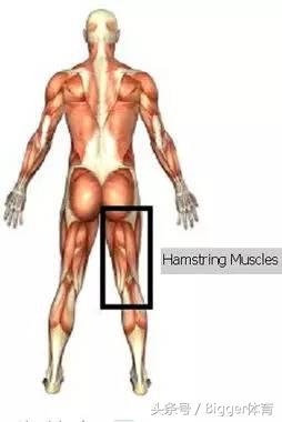 产后骨盆倾斜对女性危害,骨盆前倾对跑步的影响