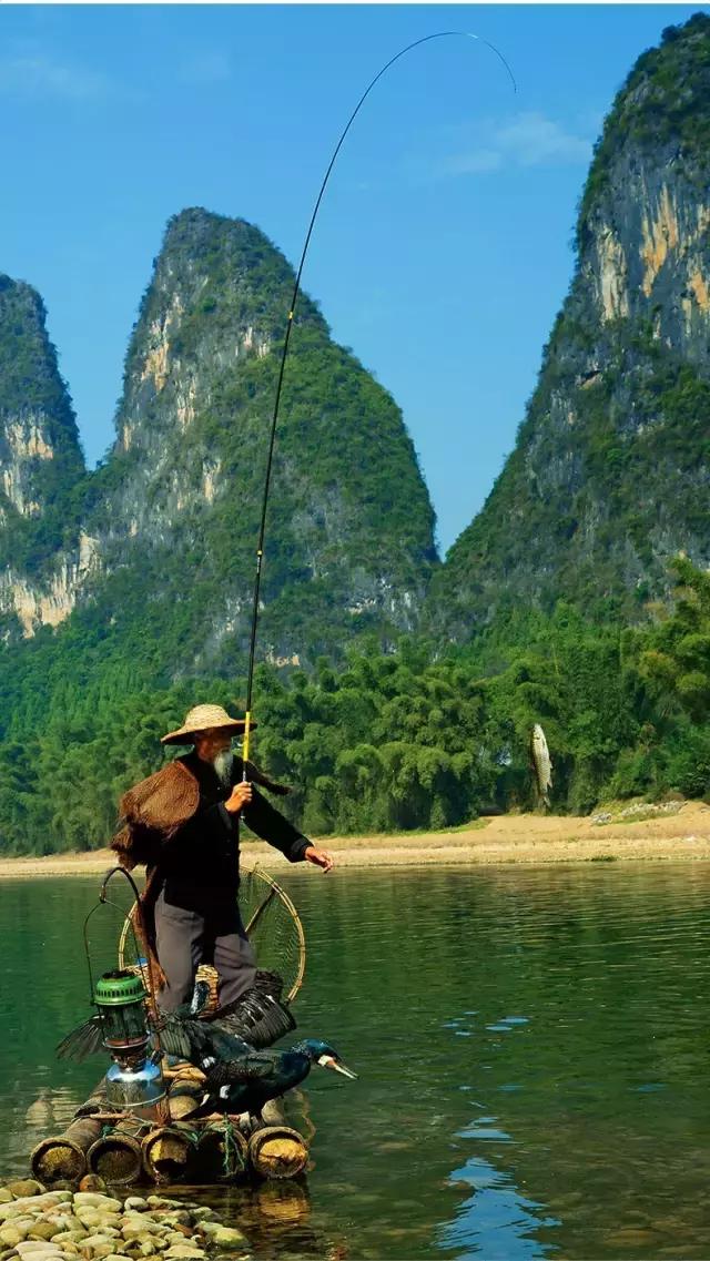 漓江上的渔鹰兄弟同弧悦黑坑上演怎样的故事？