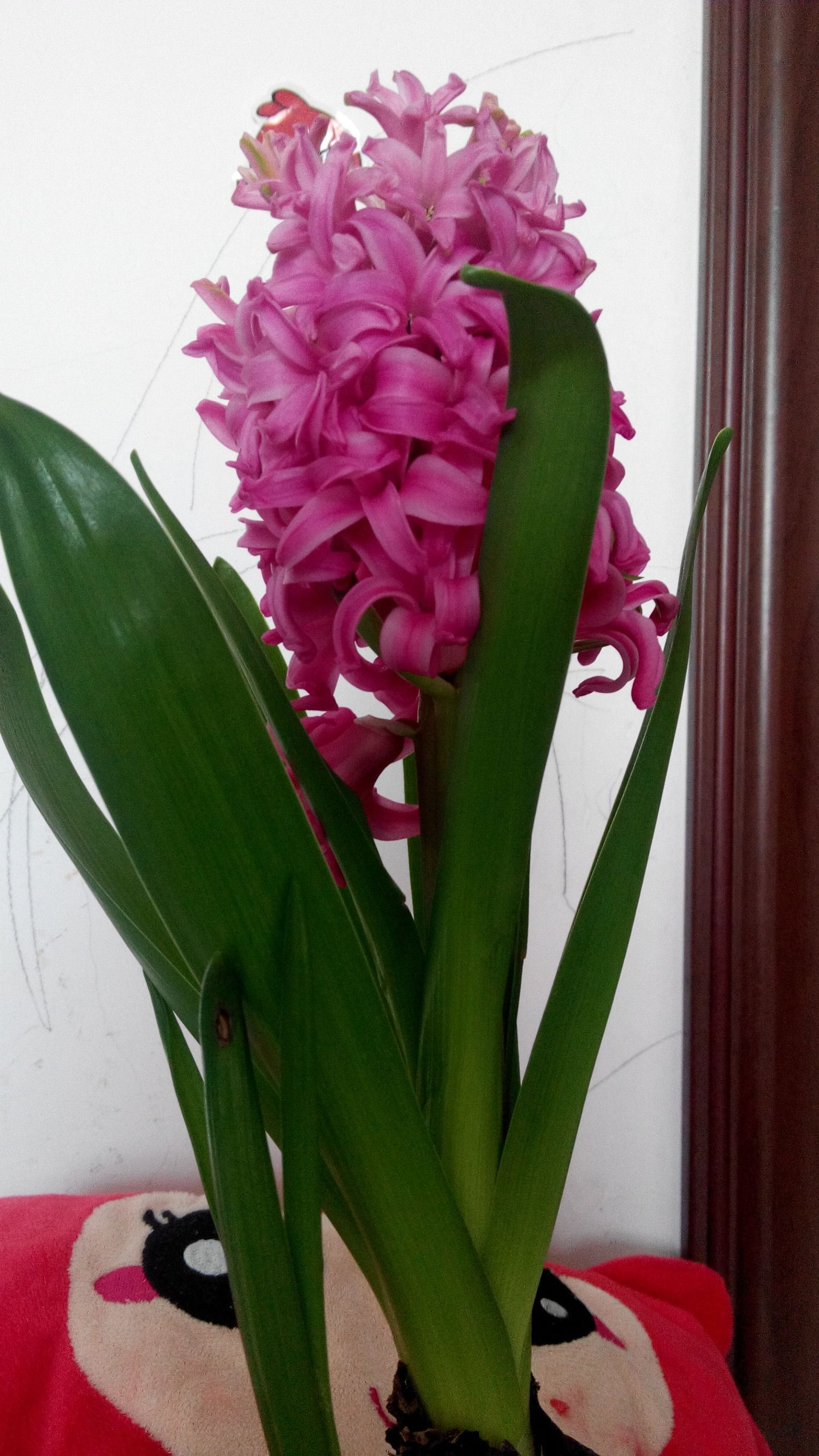 红米1s移动版和红米有什么区别,红米1s移动版值得入手吗