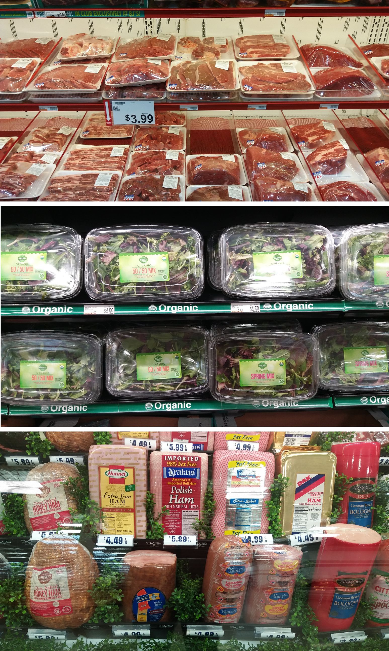 印象·美国东海岸(上)