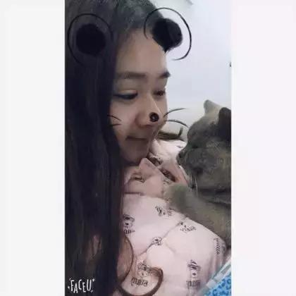 长沙人爱养什么品种的鸟,长沙人为什么喜欢养乌龟