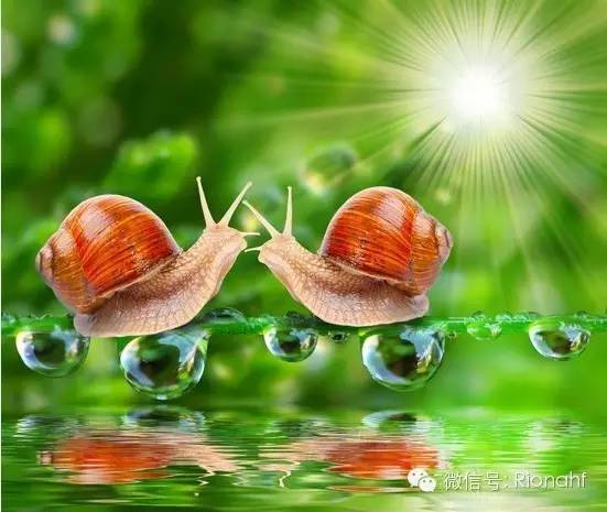 韩国最火的伊思白蜗牛霜和红蜗牛霜你知道区别到底是什么吗?