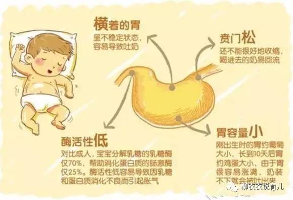 宝宝经常吐奶要怎么办,宝宝频繁吐奶怎么办视频教程