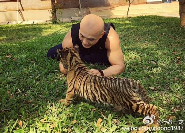 一龙展示金钟罩铁布衫被ko,一龙ko一龙完整版