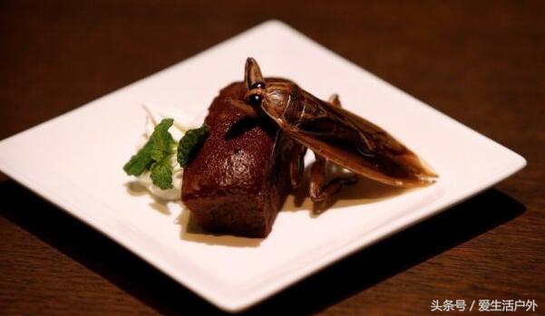 你见过用蟑螂面包虫等做的高级西餐和酒水吗？最后一个口味太重了