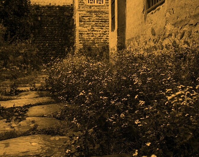 拍不出好看的照片用的特效,怎么用特效拍出氛围感照片自拍