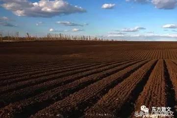 父亲的心中如座高山,父亲心里都是伟岸的靠山