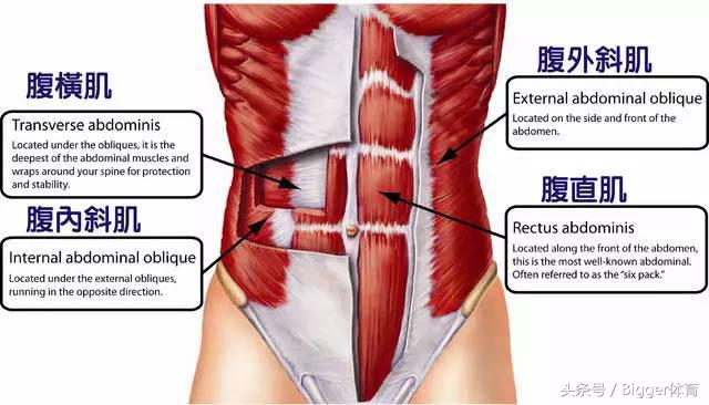 产后骨盆倾斜对女性危害,骨盆前倾对跑步的影响