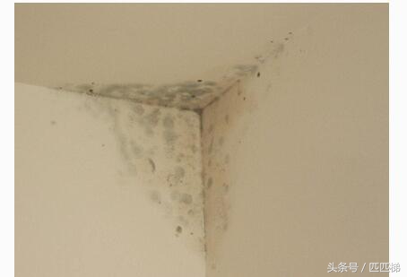 邻居家漏水修补方法,生活中一般出现漏水情况怎么维修