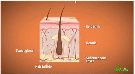 现在怎么去除纹身,怎么才可以去除纹身