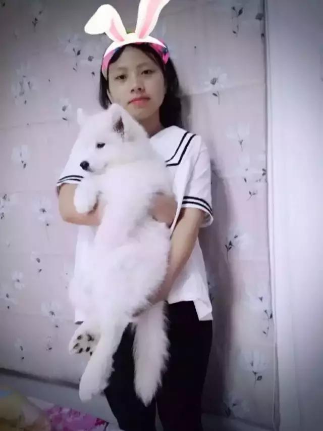 长沙人爱养什么品种的鸟,长沙人为什么喜欢养乌龟