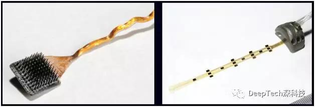 澶ц剳鍙戝嚭鎸囦护绁炵粡绯荤粺,澶ц剳鎸囨尌绁炵粡绯荤粺