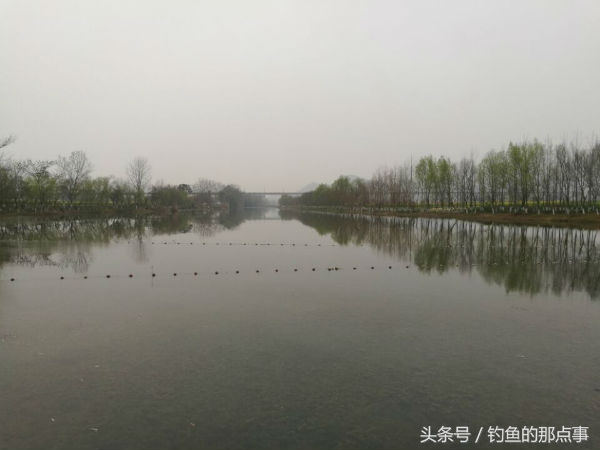 杂鱼怎么做效果最好,杂鱼加锅贴