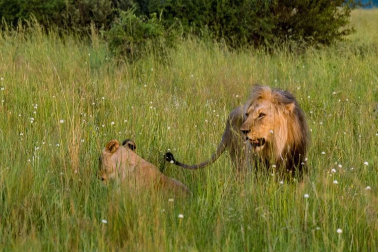 走进彩虹之国感受南非独特之美,彩虹之国南非