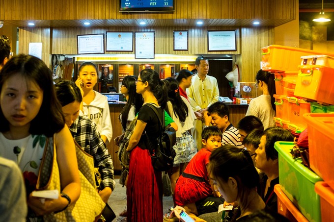 论一个吃货的自我修养小说,论一个吃货的自我修养