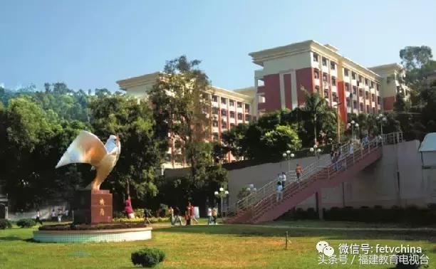 福建省高职院校分数一样怎么排名,2023福建省500分高职院校