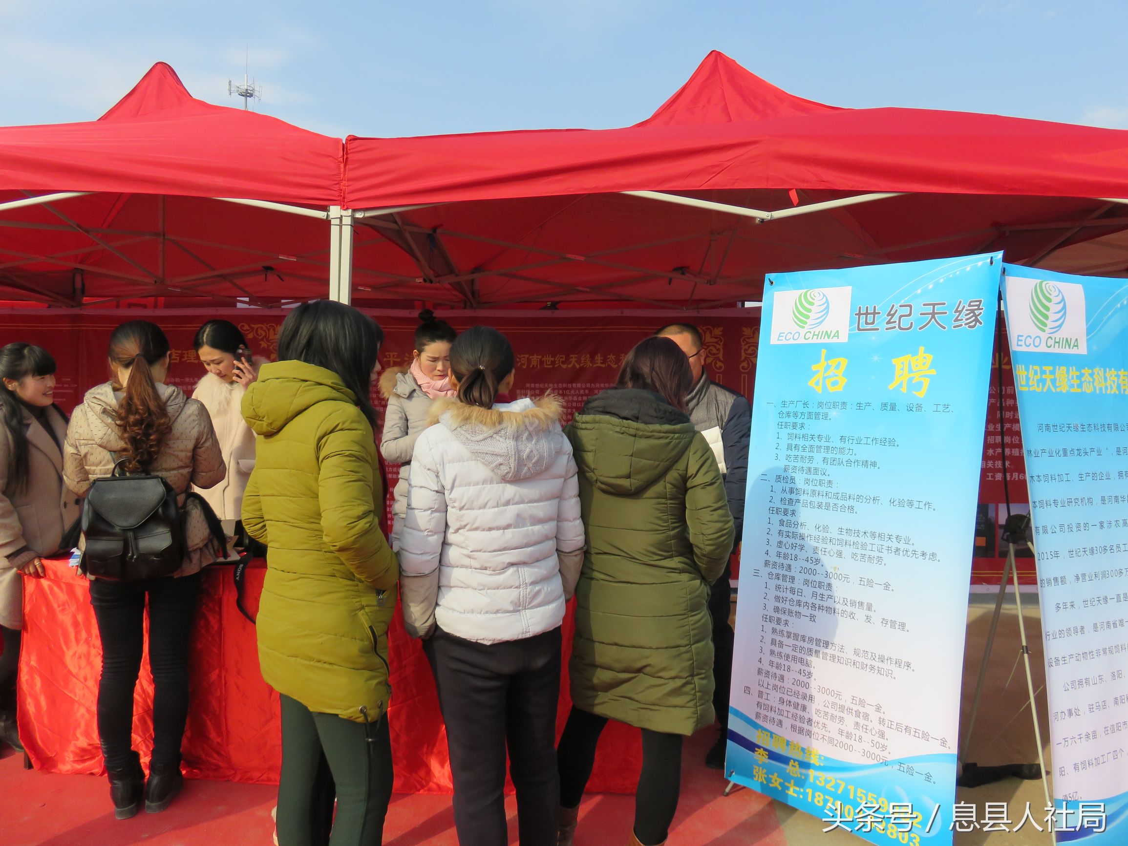 河南新蔡春风行动,信阳市春风行动