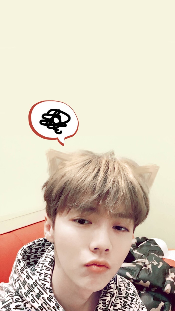 苹果11壁纸猫耳朵鹿晗,鹿晗图片高清壁纸全屏