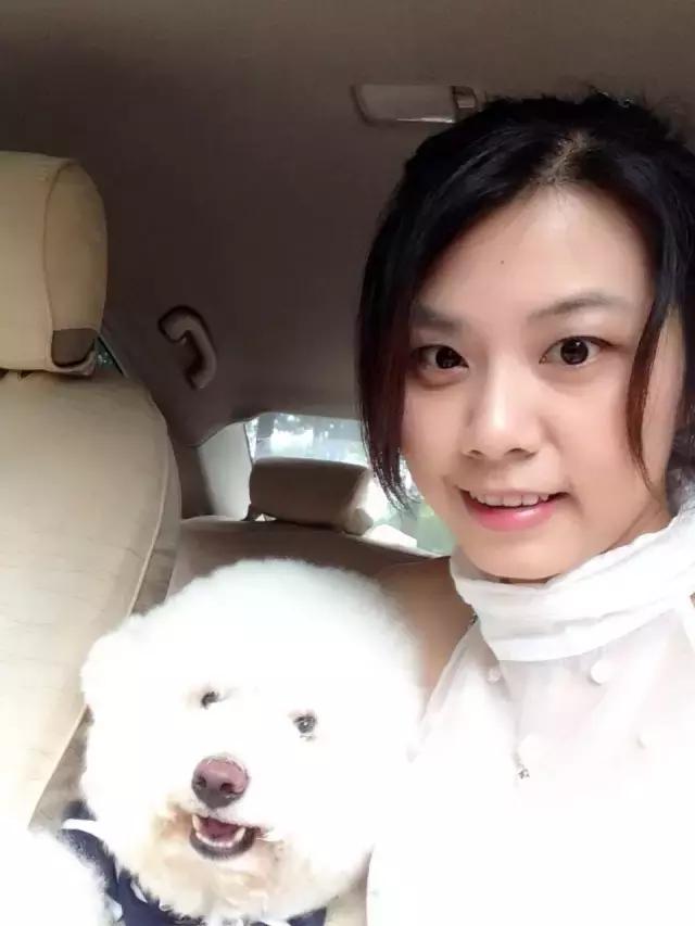 长沙宠物蜥蜴品种有哪些,别人家养的宠物蜥蜴食肉动物