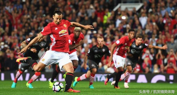 看不懂排球运动员的站位,看不懂足球的战术