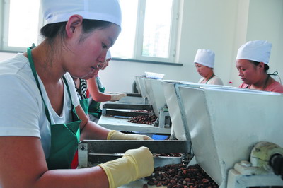 小松籽也转型：以“文化”坚果敲市场之门