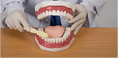 假牙用什么牙刷刷得更干净,假牙用什么牙膏牙刷好