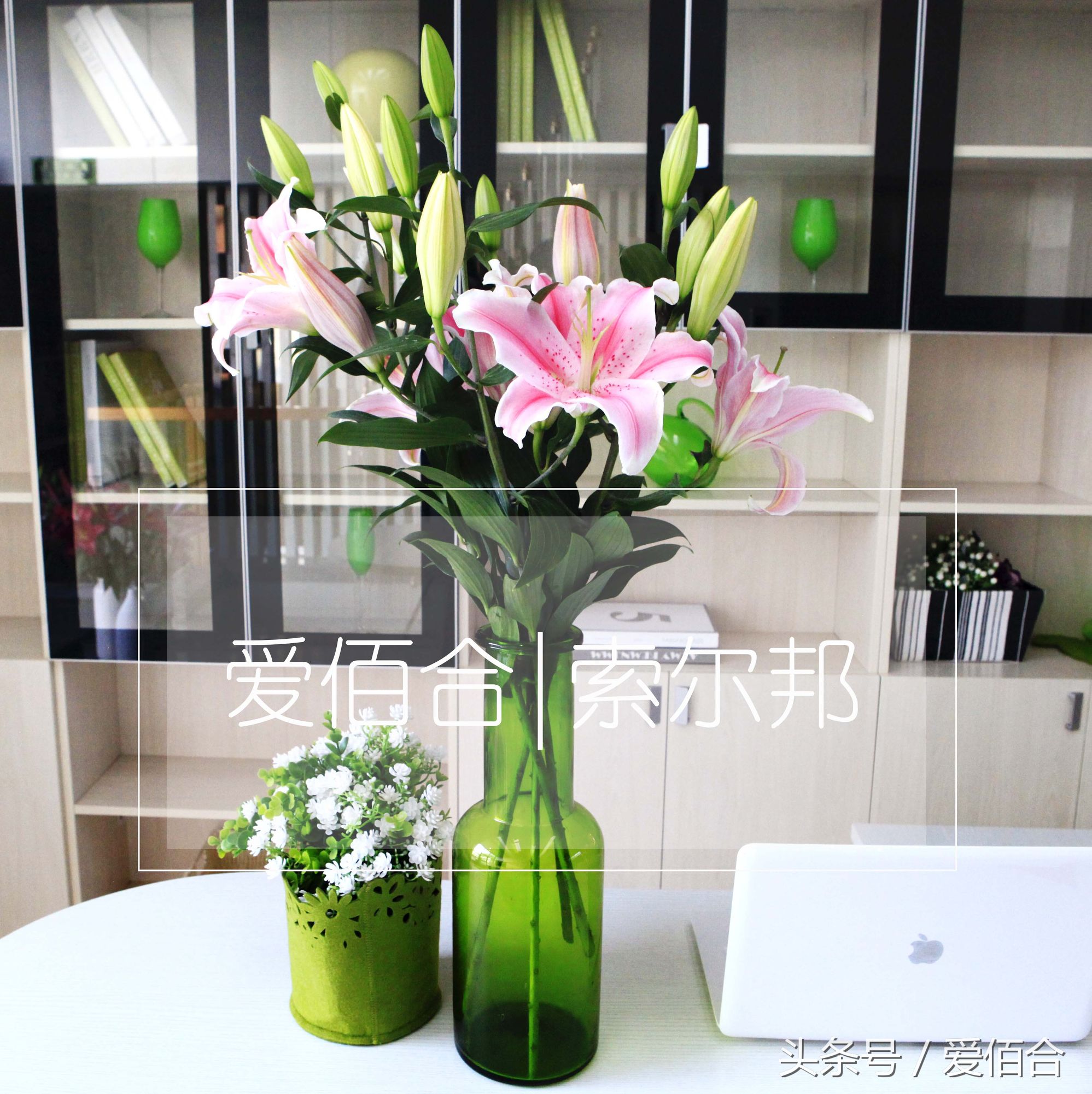 学花艺去工作室学还是培训机构,想学花艺去花店还是去培训学校