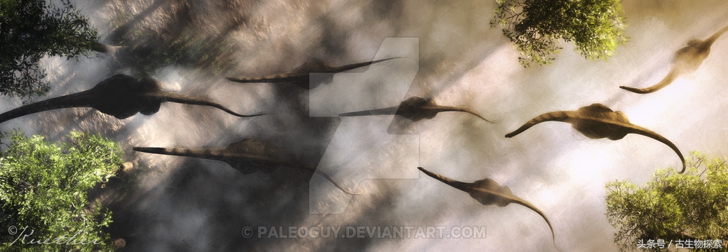 普尔塔龙恐龙视频,普尔塔龙