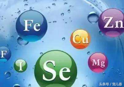 宠物缺微量元素怎么补,微量元素少却作用很大