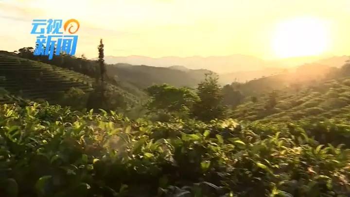 外交部蓝厅,外交部蓝厅在哪