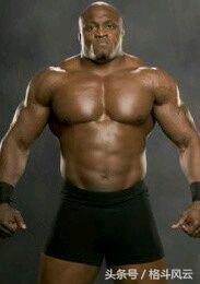 猛兽布洛克莱斯纳重摔之城,wwe布洛克莱斯纳vs人间怪兽完整版