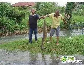 6个有趣奇闻异事保证你没听过,世界奇闻异事大全集