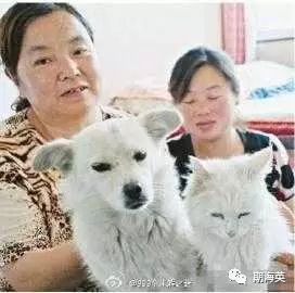 6个有趣奇闻异事保证你没听过,世界奇闻异事大全集