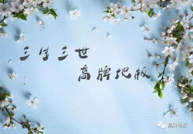 涓夌敓涓変笘鍦版澘,涓夌敓涓変笘鍦版搴楅摵