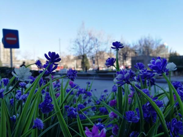 荣耀v9口碑,荣耀v6和9哪个好