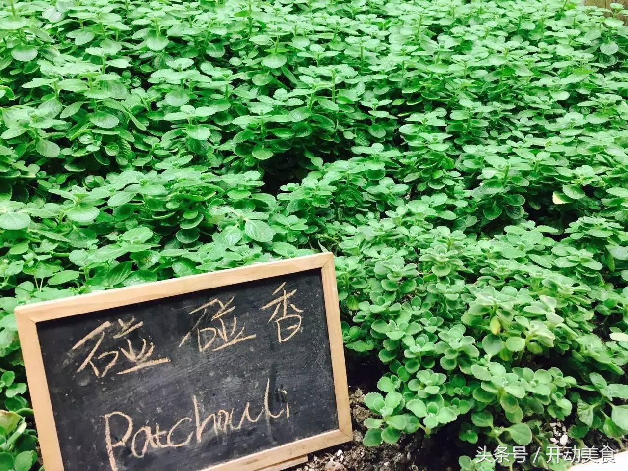 维密超模来中国,维密天使来中国