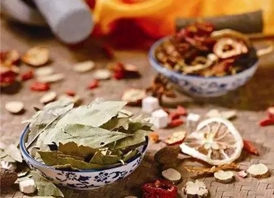 刘虎岐:想种植中草药来赚钱?这些知识点你得先了解!