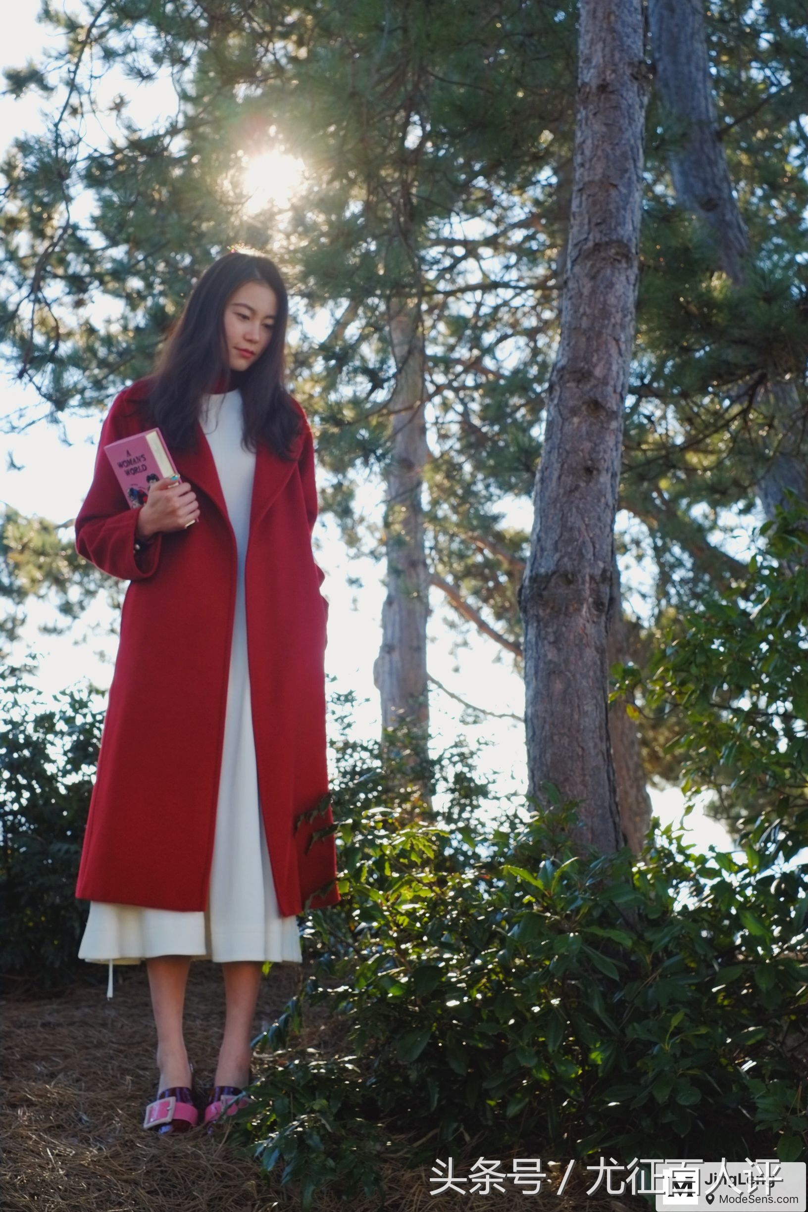 灏侀潰浜虹墿,灏侀潰浜虹墿闈掓槬娲诲姏