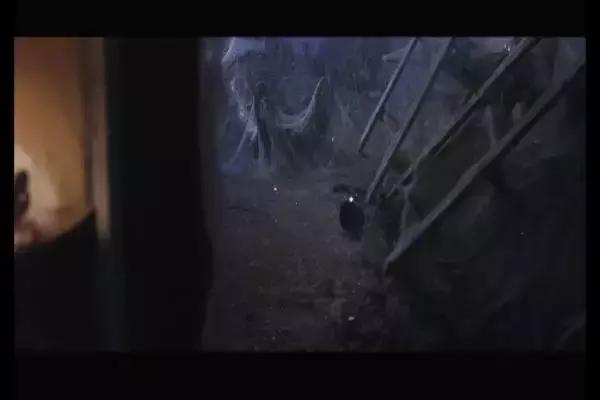 这是你们要的大长腿，备好纸巾，准备上下其手吧