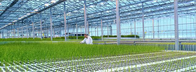 egf纯精华,egf自体干细胞