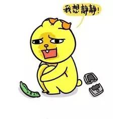 《云巅之上》已向你发送娱乐圈生存宝典，收好不谢！