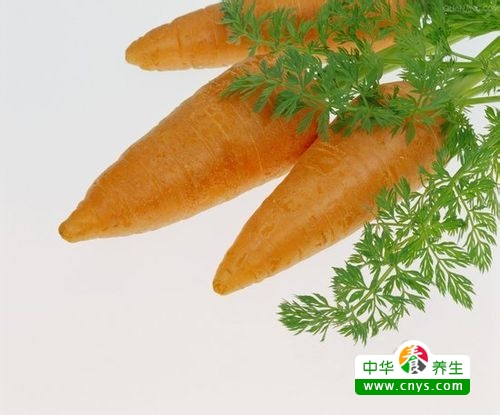 鎬庝箞鍚冩洿缇庣櫧閫忎寒,鎬庝箞鍚冩墠鑳借秺鏉ヨ秺鐧藉憿