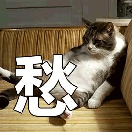 爱马仕专柜曝出假包,爱马仕售假包